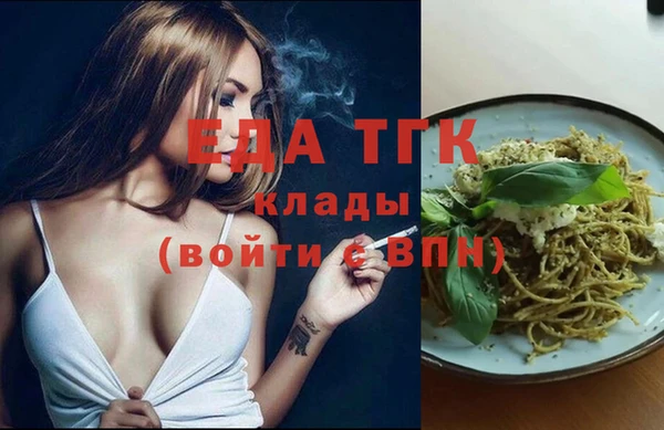индика Карпинск